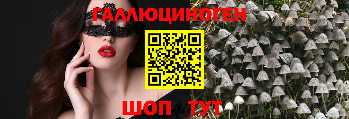 Галлюциногенные грибы MAGIC MUSHROOMS Тосно
