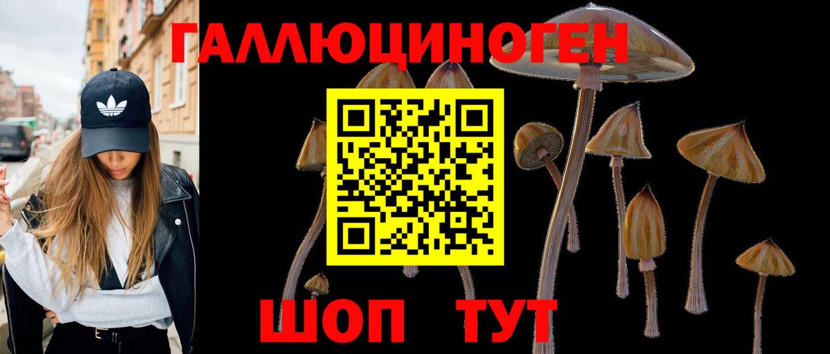 Псилоцибиновые грибы Psilocybine cubensis  купить наркотик  Тосно  Вход с VPN  Галлюциногенные грибы прущие грибы 